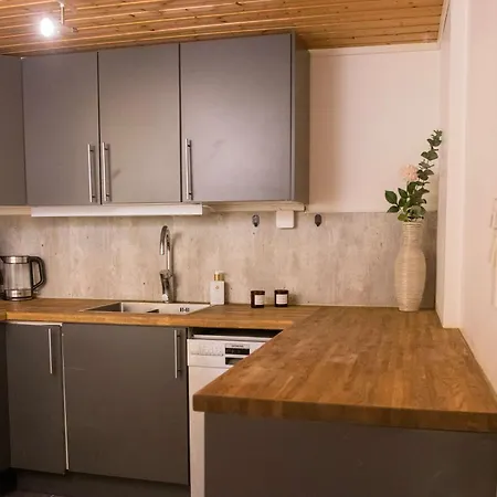 公寓 Charming 2br Wi-fi & Heater 特罗姆瑟